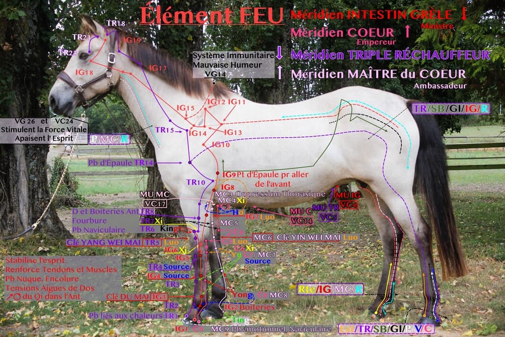 extensions de Masunaga meridiens element feu