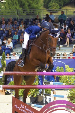suivi shiatsu pour les chevaux de sport